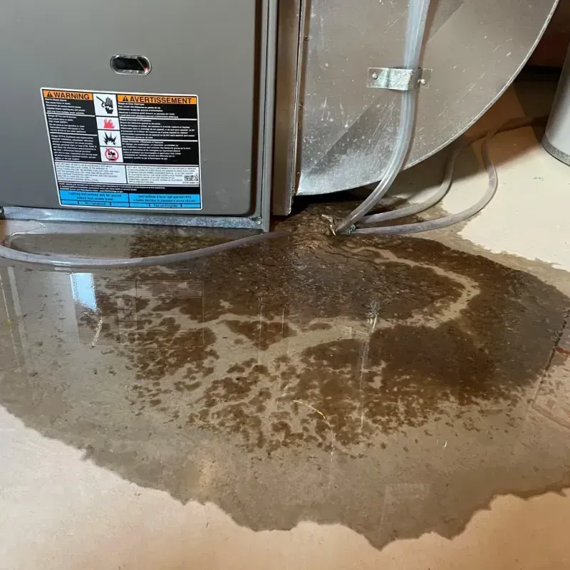 Appliance Leak Cleanup in Mount Vernon, IN